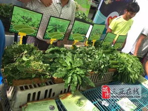 三亞市扶貧農(nóng)產(chǎn)品展銷會(huì) 農(nóng)副產(chǎn)品引圍觀，創(chuàng)意無(wú)限人潮涌動(dòng)